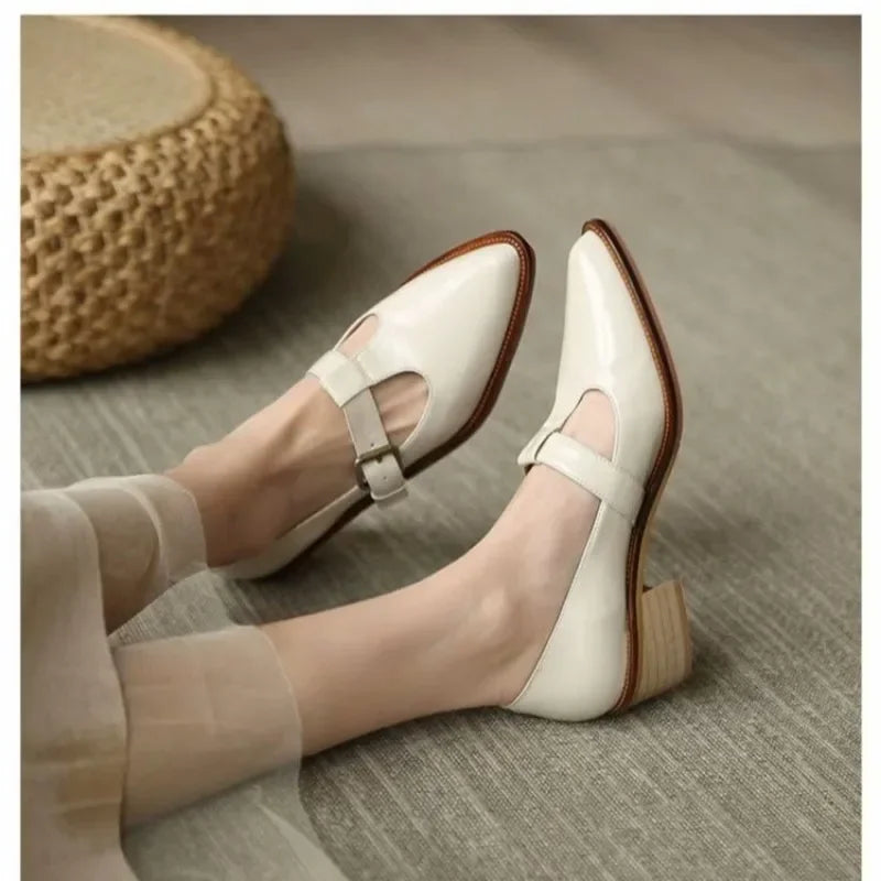 Beige / 43